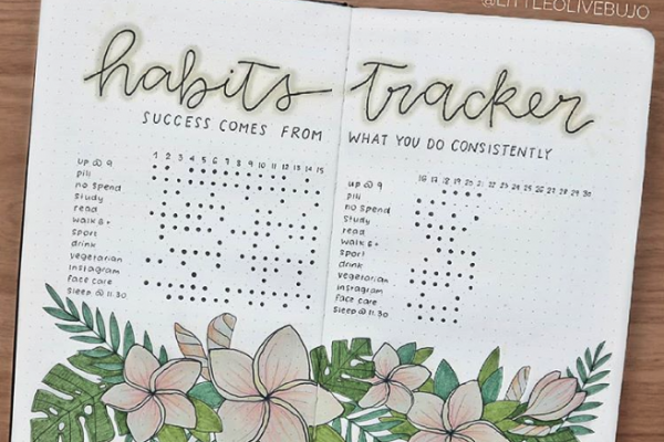 Bullet Journal Habit Tracker Template