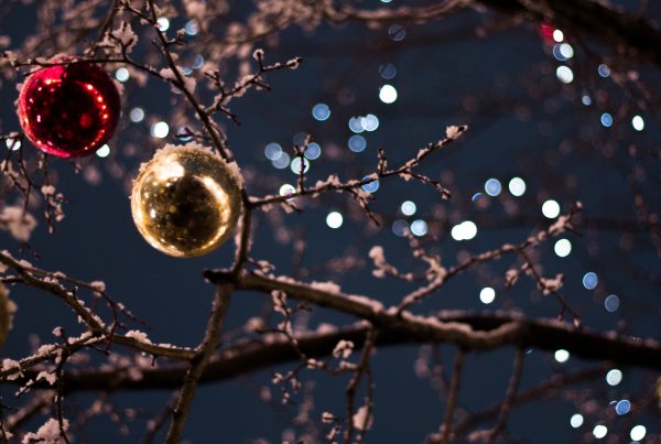 Two interesting mindsets to explore in 2020 - 12 days of Christmas by GroovyWink