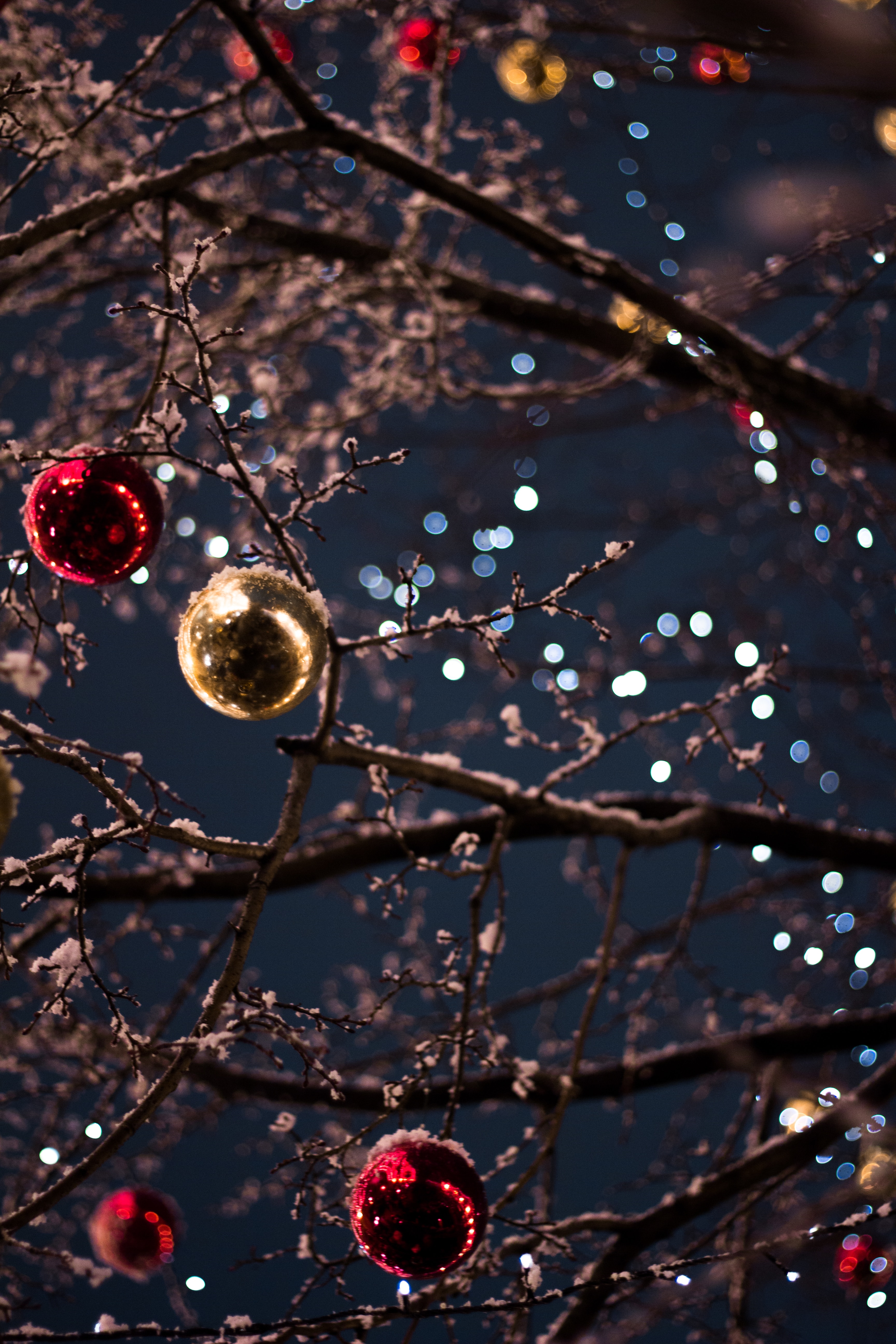 Two interesting mindsets to explore in 2020 - 12 days of Christmas by GroovyWink