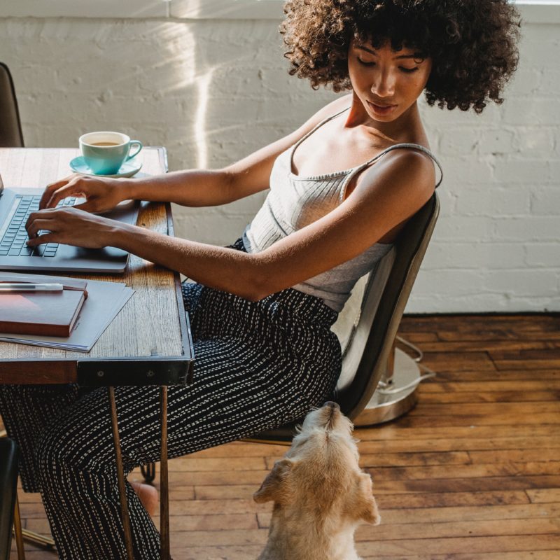 NaNoWriMo training
