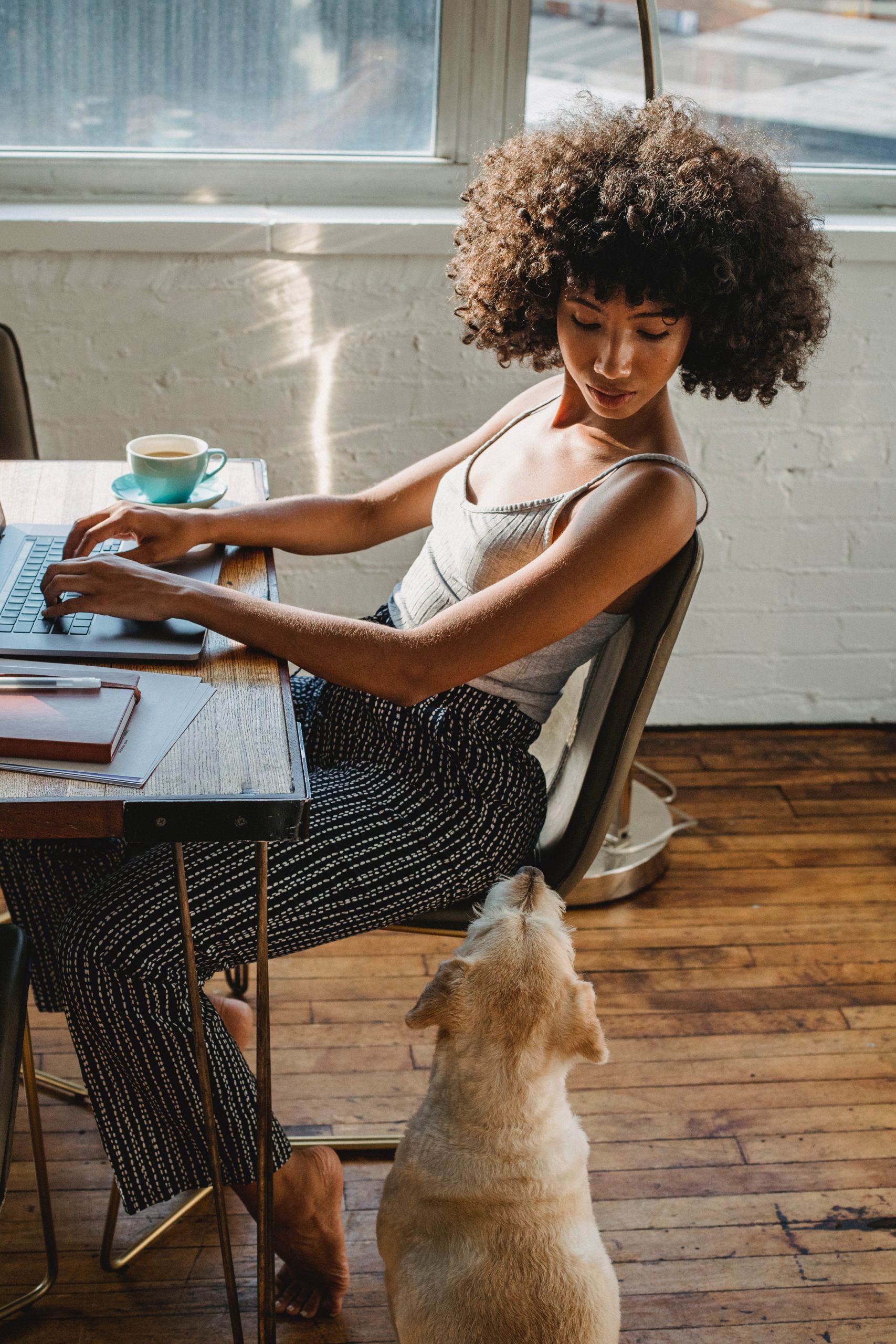 NaNoWriMo training